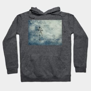 abduction Hoodie